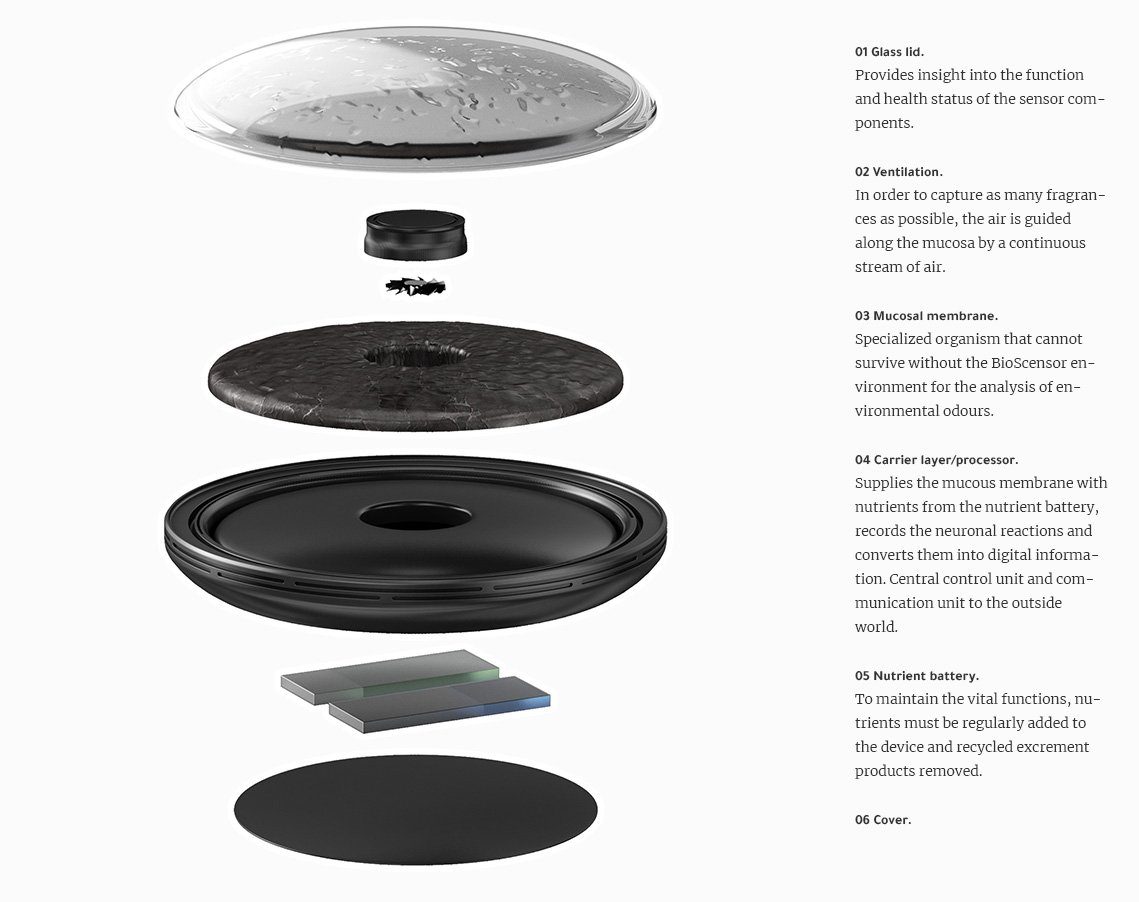 BioScensor Infografik Die Infografik zeigt den Aufbau des BioScensors. Der Glasdeckel schützt die innere Membran. Über Lüftungsschlitze im äußeren Ring kann Luft angezogen werden, welche durch den BioScensor verarbeitet wird.