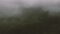 Detailaufnahme von Gras im Nebel.