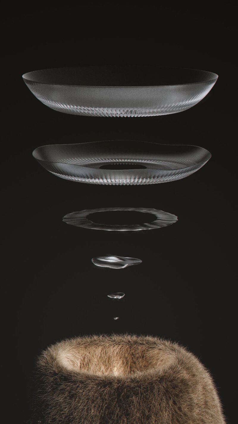 Verschiedene Stadien des GrowHorn Prozesses als Rendering.