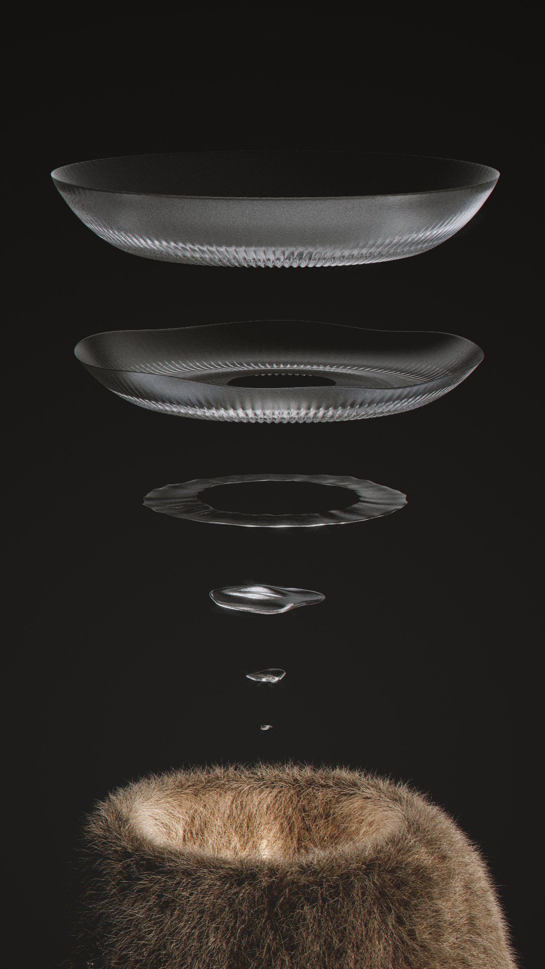 Verschiedene Stadien des GrowHorn Prozesses als Rendering.