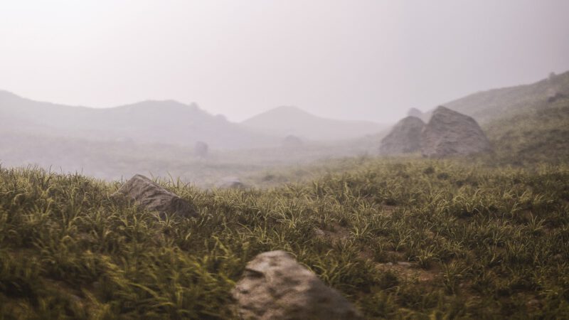 Hügelige, mit Gras bedeckte Landschaft.