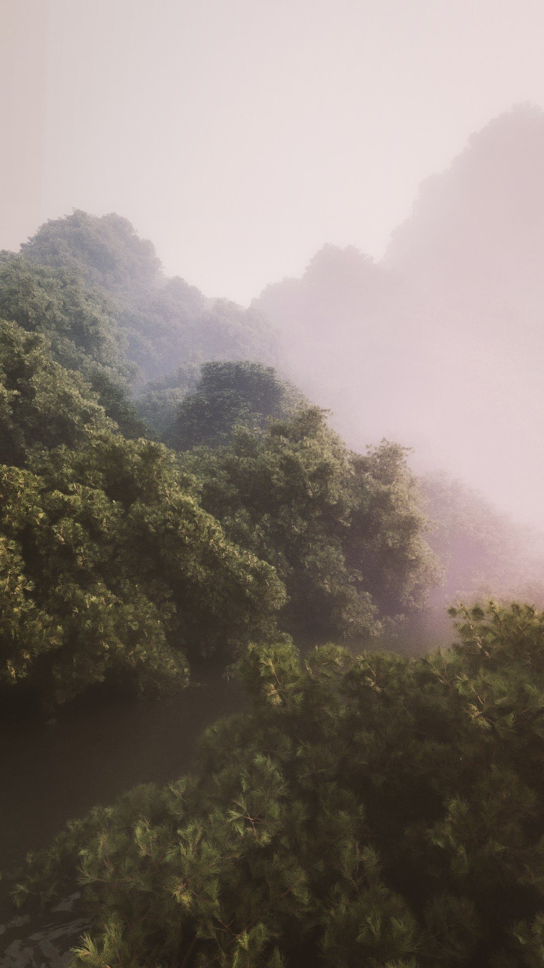 Rendering einer Waldsituation mit Nebel.